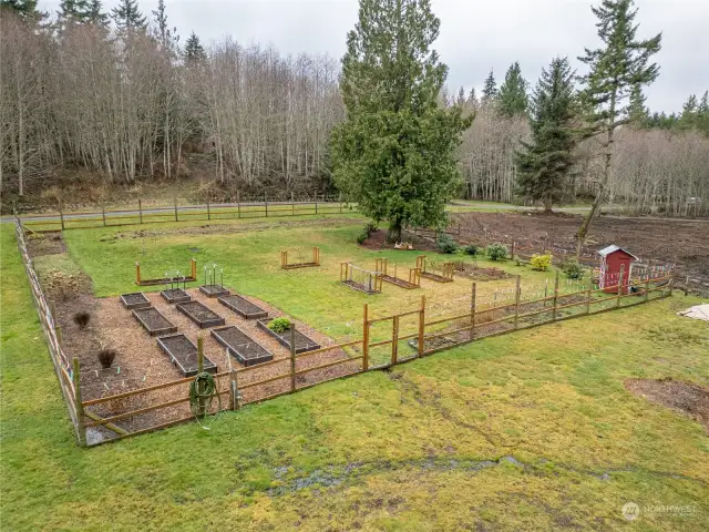 Huge fully fenced garden area