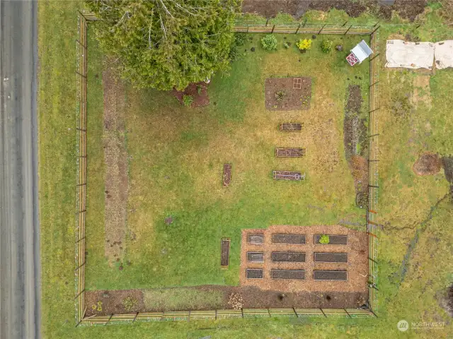 Aerial view of garden