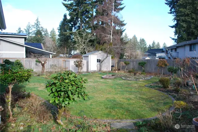 View across backyard towards two storage sheds.