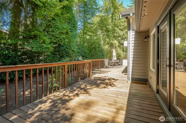 Deck also has roll-back canvas cover to extend days to enjoy tranquil nature and forest ambiance.