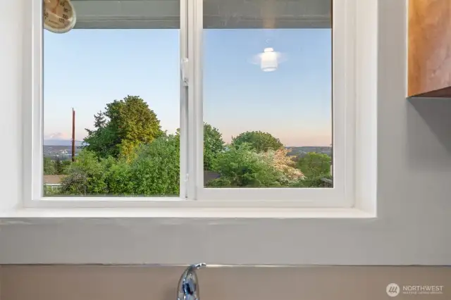 Kitchen window views of Mt. Rainier & Territory