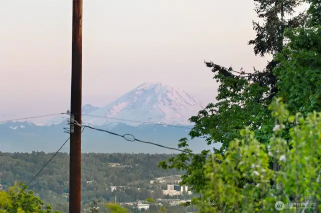 Primary views of Mt. Rainier in the distance
