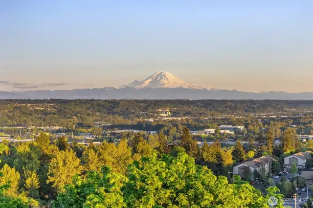 Aerial view of Mt. Rainier