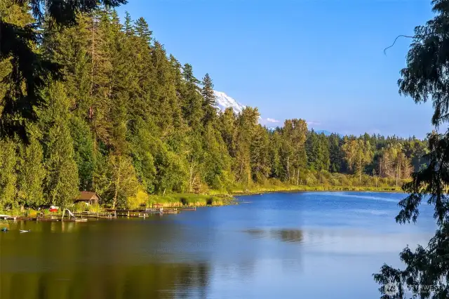 Mt. Rainier view