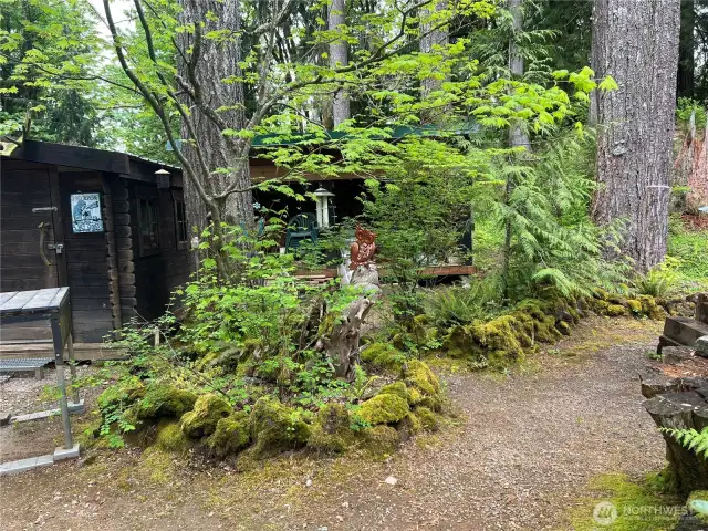 Great outdoor space with controlled vegetation