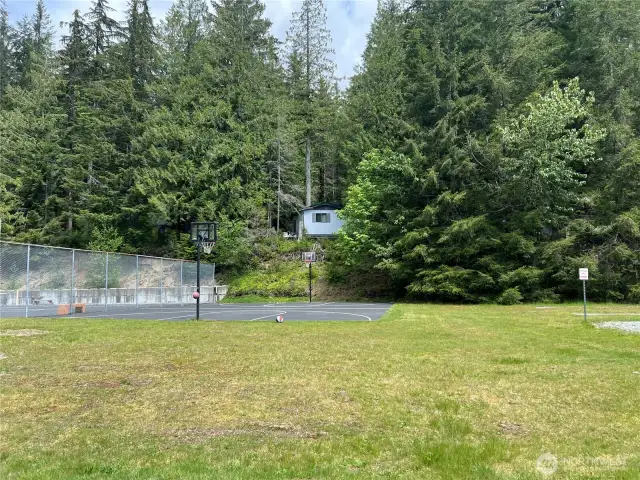 Basketball court for your enjoyment