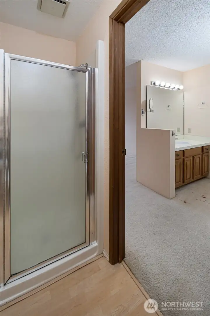 Primary shower and vanity
