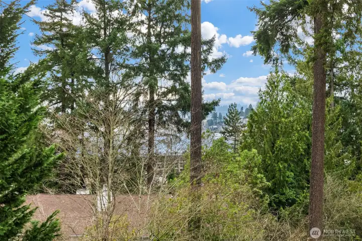 Partial Lake Washington Views.