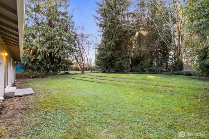 Huge backyard!