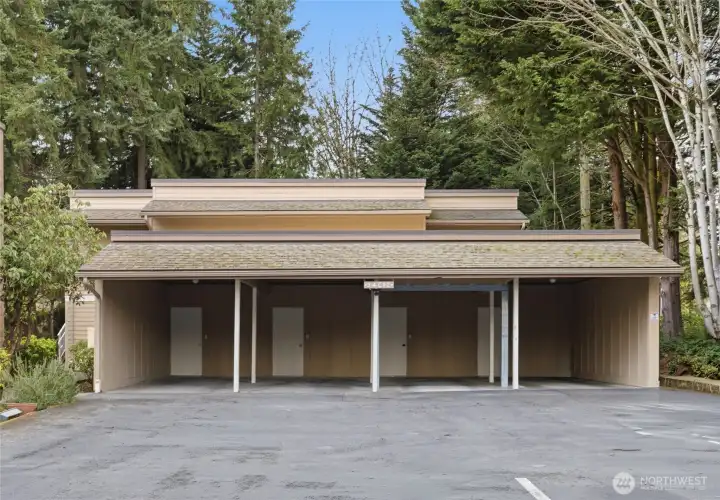 Carport also features a sizeable storage locker