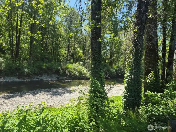 Down by the river