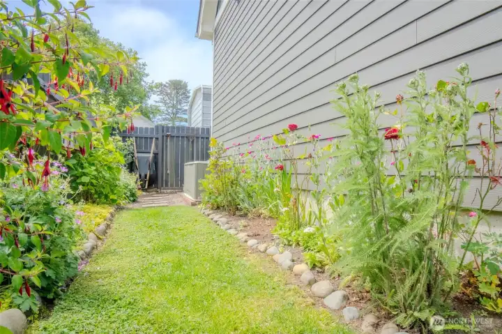 Take a walk in the side garden