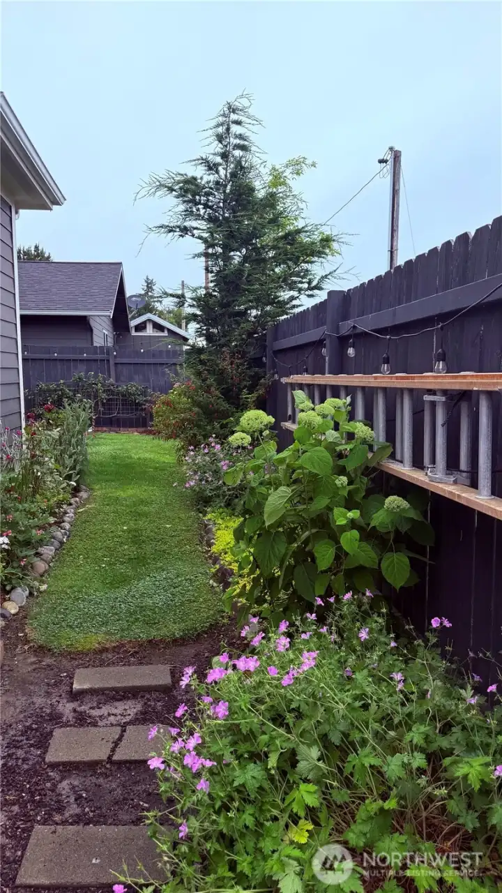 Plants love the weather of the PNW!