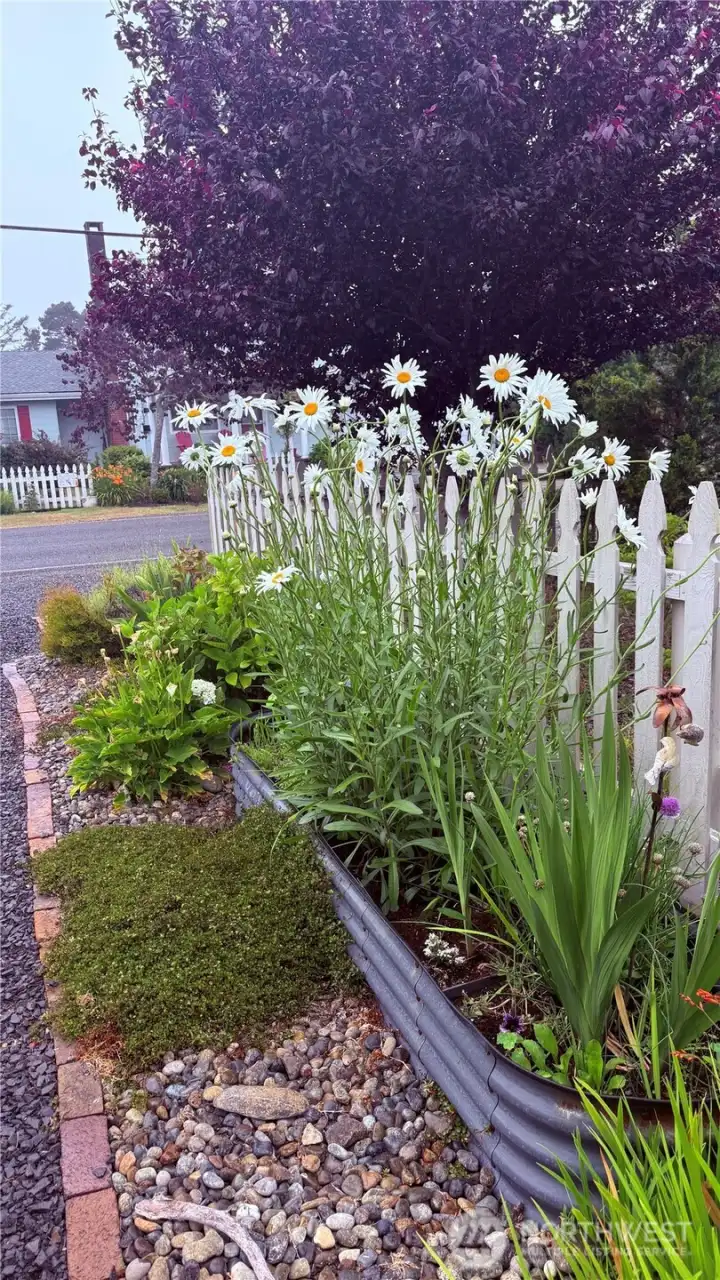 The front yard and backyard are full of perennial plants