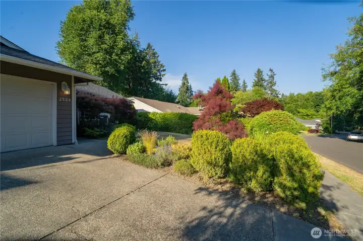 Front Yard