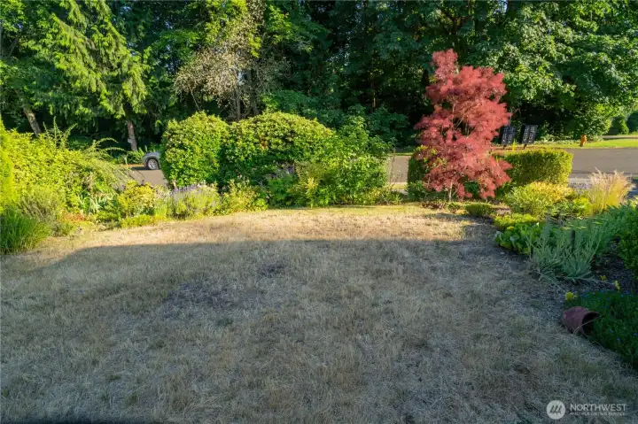Front Yard