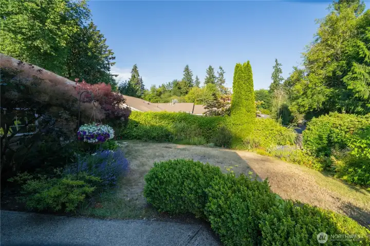 Front Yard