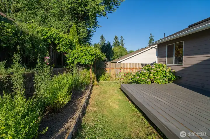 Back Deck