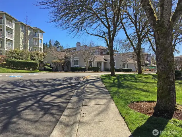 Library, Sidewalks, Wide Streets and gorgeous landscaping.