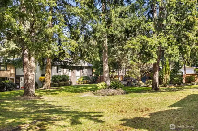 The townhomes surround this lovely, lush courtyard