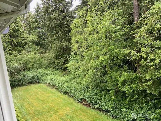 View to the left from the living room