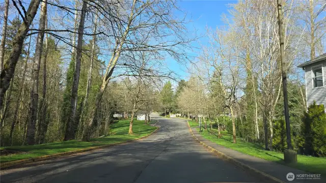 What a beautiful drive home.