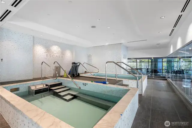 NEW POOL!