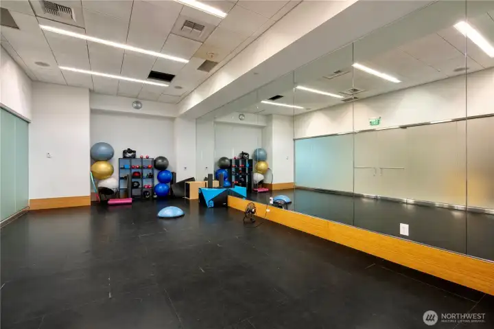 Yoga area equipped with Bosu balls and mats, offering a peaceful space for mindful exercise and stretching.