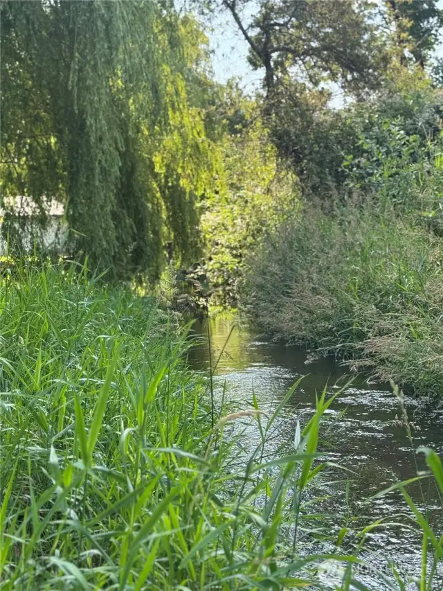 1,400+ ft of Newaukum creek.