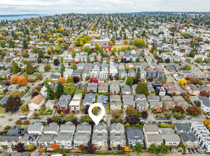 Tree-lined streets. An unusually high canopy for the city; those deep reds and golds make fall in Ballard feel cinematic. Ballard Community Center, tucked beside the playfield, it anchors a lot of neighborhood events and youth programs.