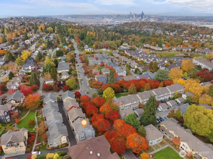 Vibrant High Point neighborhood with tree-lined streets and mountain backdrop.