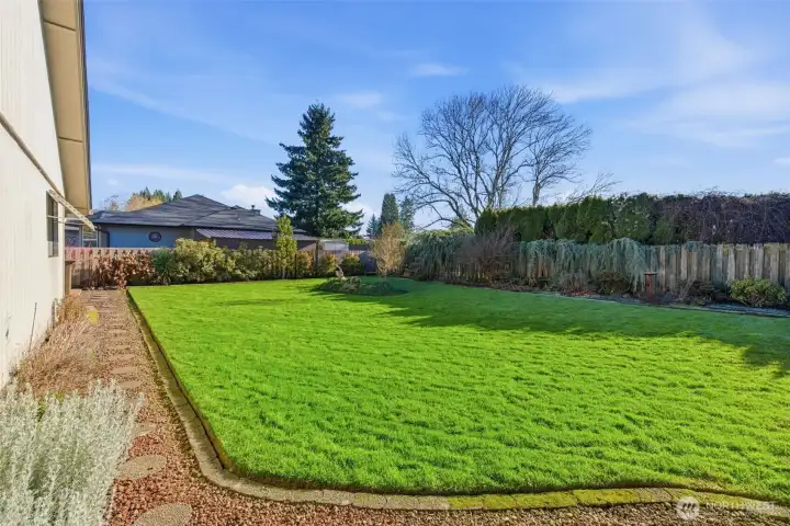 Fenced Backyard