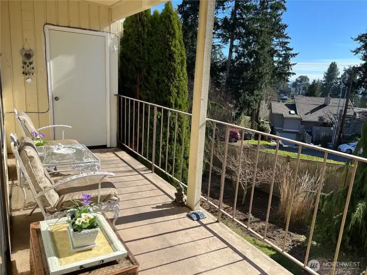This fun balcony extends the full length of the condo and has a great storage closet too!