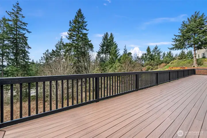 Fantastic large deck for barbeque and soaking up the sun.