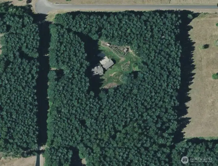 Aerial shot of the entire lot--you can make out the basic "square" shape, showing the extensive woods and privacy of the home!
