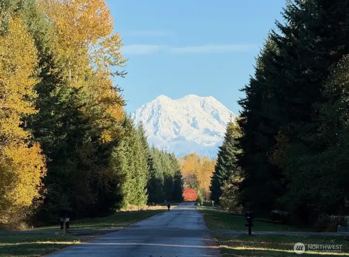 Captured by the homeowner one fall day, this is the view departing the beautiful property down 159th Ln... Mt Rainier is a STUNNER!