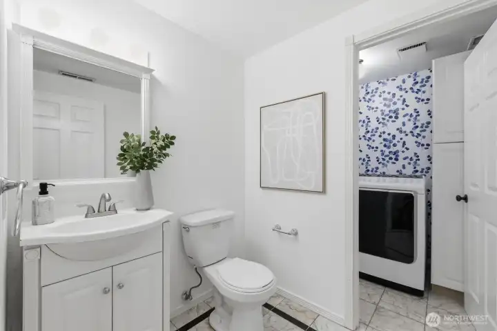 Lower level bathroom