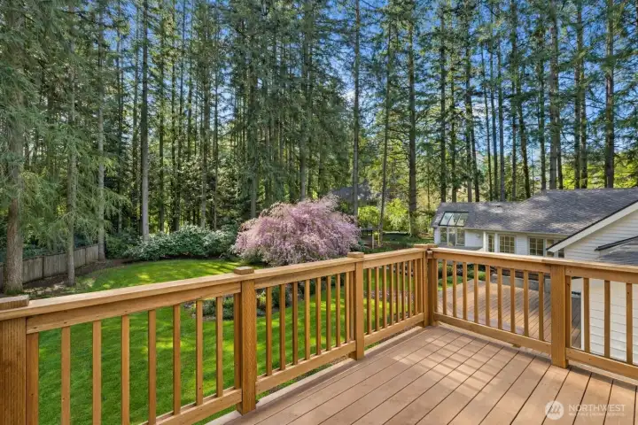Deck with backyard views directly off the recreation room.