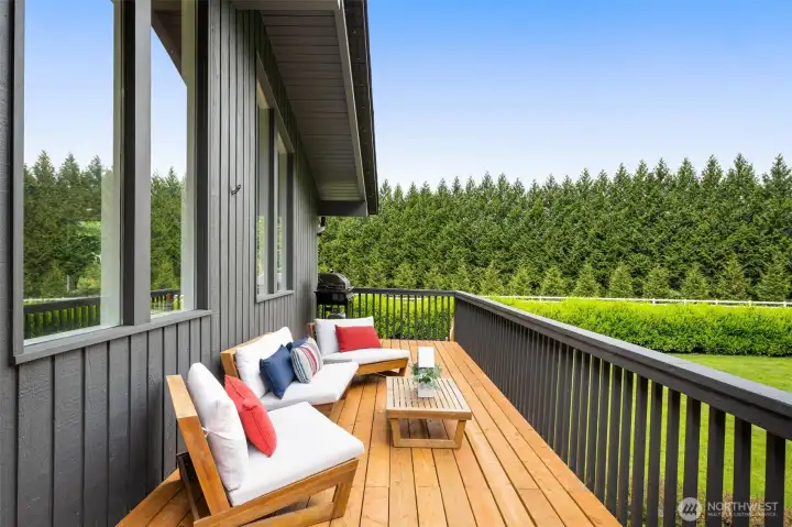 Perfect deck or summer BBQ of the main living room