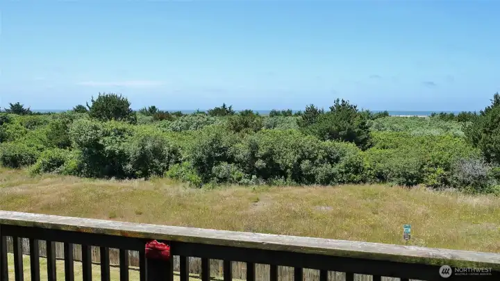 West view from the Deck of the Polynesian #318.