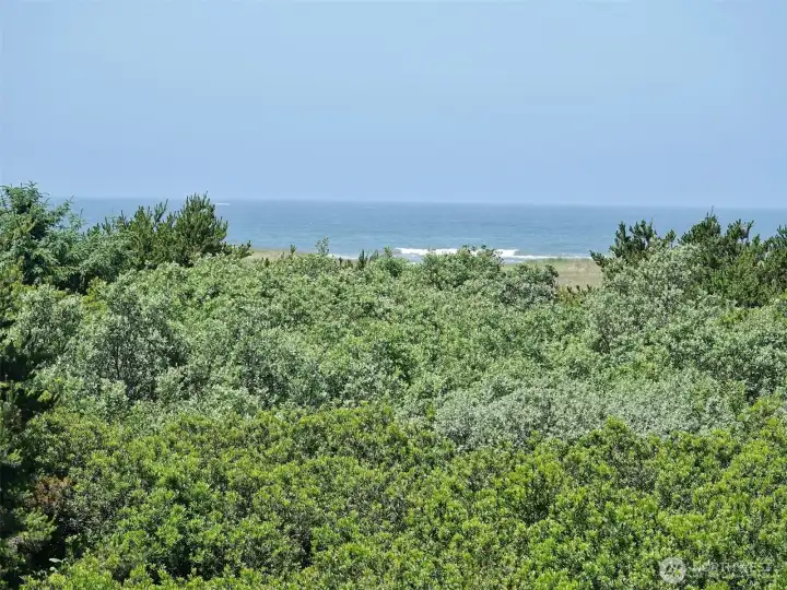Close-up view of the Ocean.