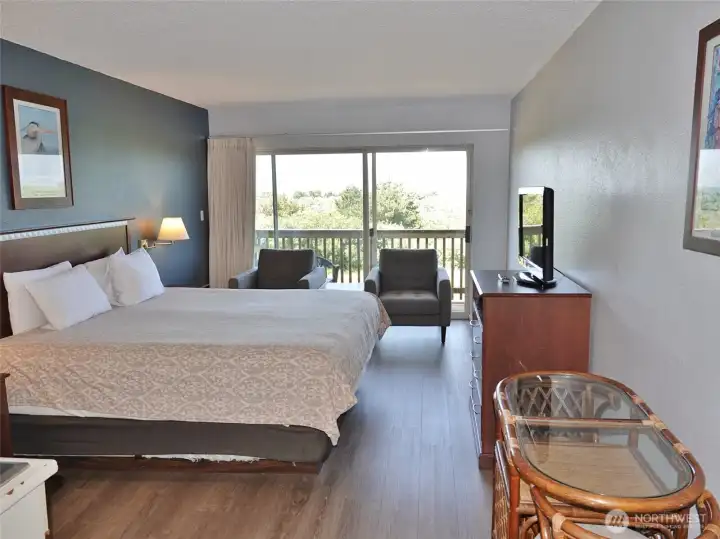 Studio unit w/ king-size bed.