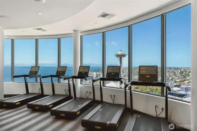 Wrapround gym with a wraparound view