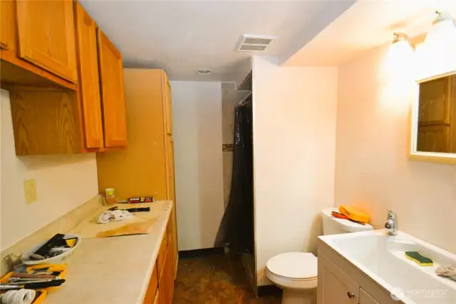 3/4 bathroom in the basement work room