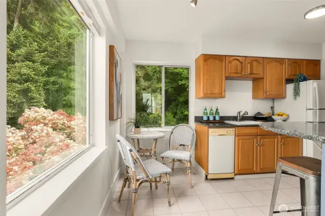 Large Picture Framed Windows