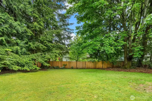 Maybe build a shop? Play tag, red rover, cornhole, hide and seek...there's even enough room for tennis, pickleball or even a pool! Move in and let your imagination go wild with all of this space!