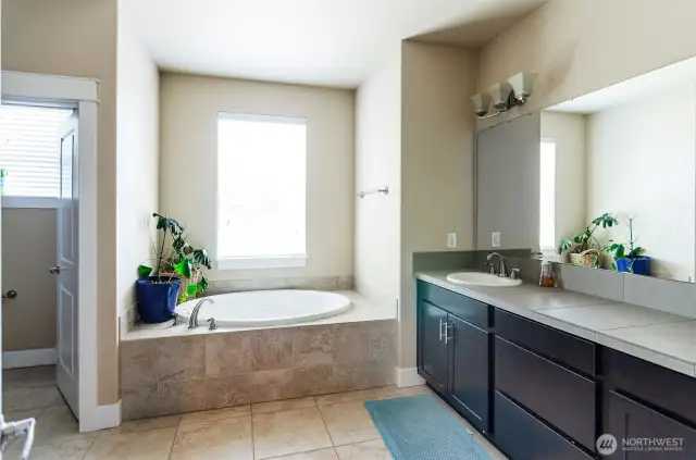 Primary bath oasis.  Enjoy a leisure soak in this deep soaking tub.  Loads of storage plus double sinks.