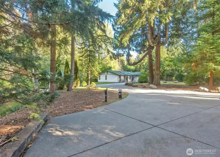 Lots of parking for your cars and RV.