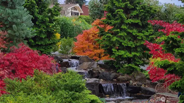 Fall at the waterfall...