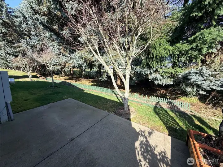 Back patio with a backyard with views of trees.